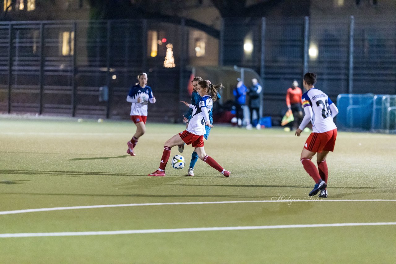 Bild 181 - F SC Alstertal-Langenhorn - Hamburger SV 3 : Ergebnis: 2:2